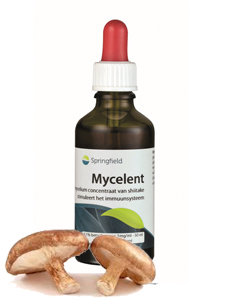 Mycelent shiitake-mycellium - 50 ml (EXP 31-05-23)