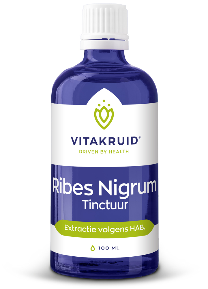 Ribes Nigrum tinctuur 100 - 100 ml
