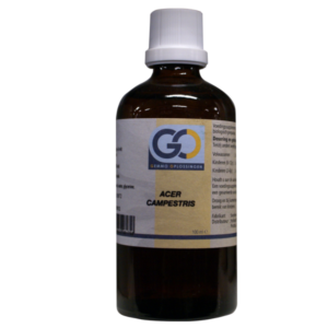 GO Acer Campestris (Spaanse aak) - 100 ml