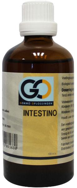 Go Intestino - 100 ml