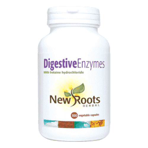 Digestive Enzymes - 100 vcaps