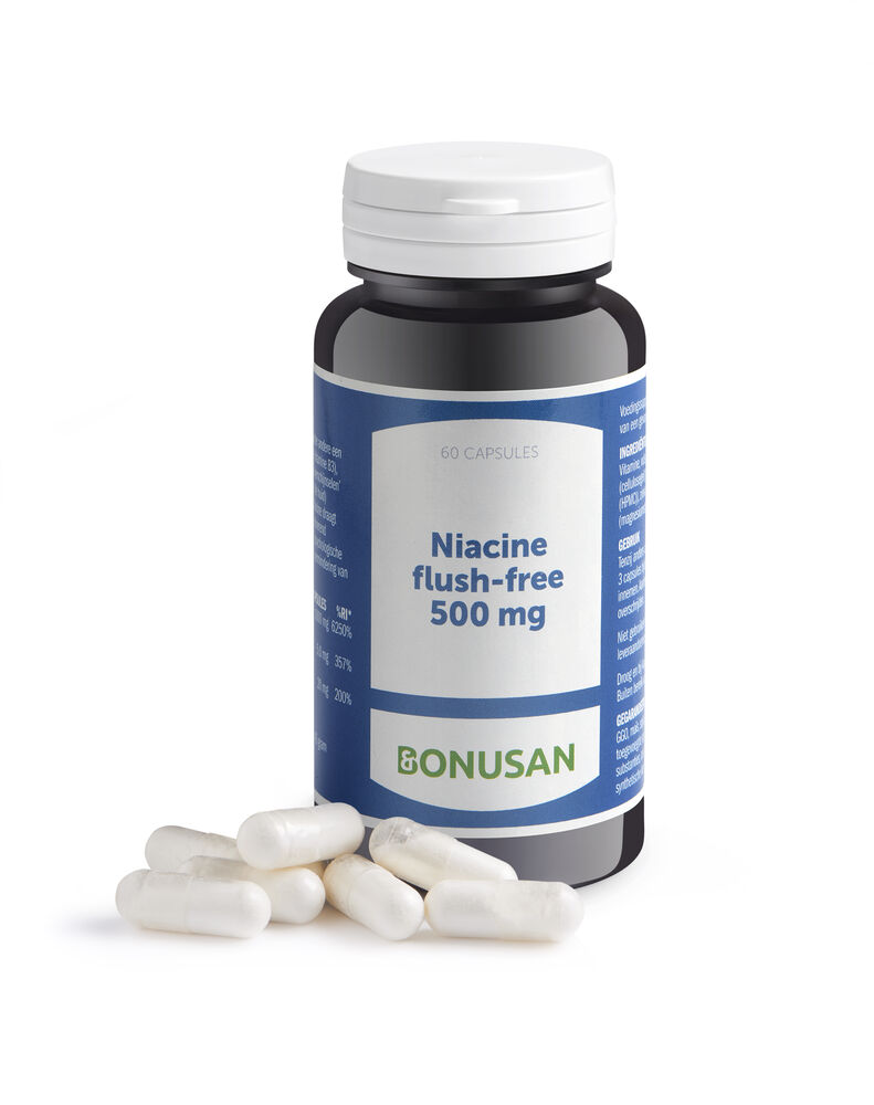 Niacine flush-free 500 mg - 60 caps