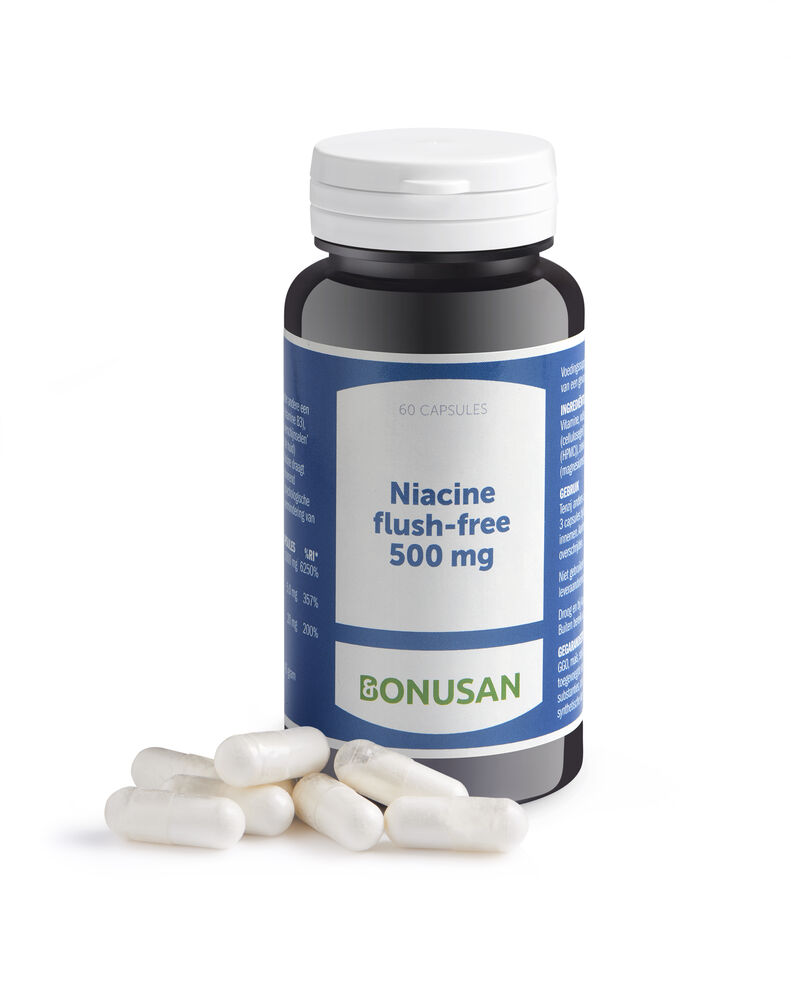 Niacine flush-free 500 Complex - 60 caps