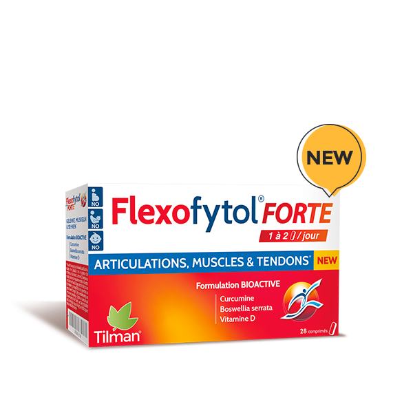 Flexofytol Forte - 28 tabl