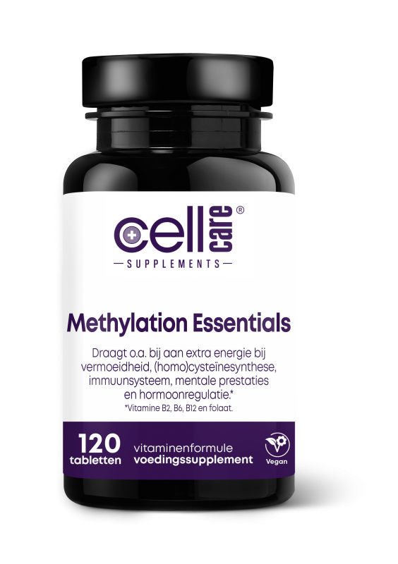 Methylation Essentials - 120 tab