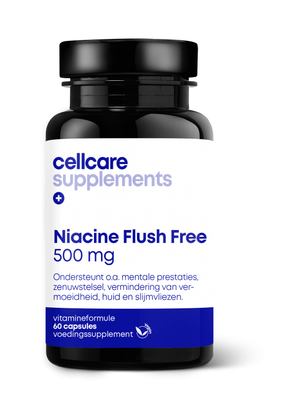 Niacine Flush Free 500 mg 