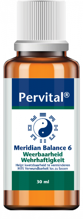 Meridian Balance 6 - Résilience - 30 ml