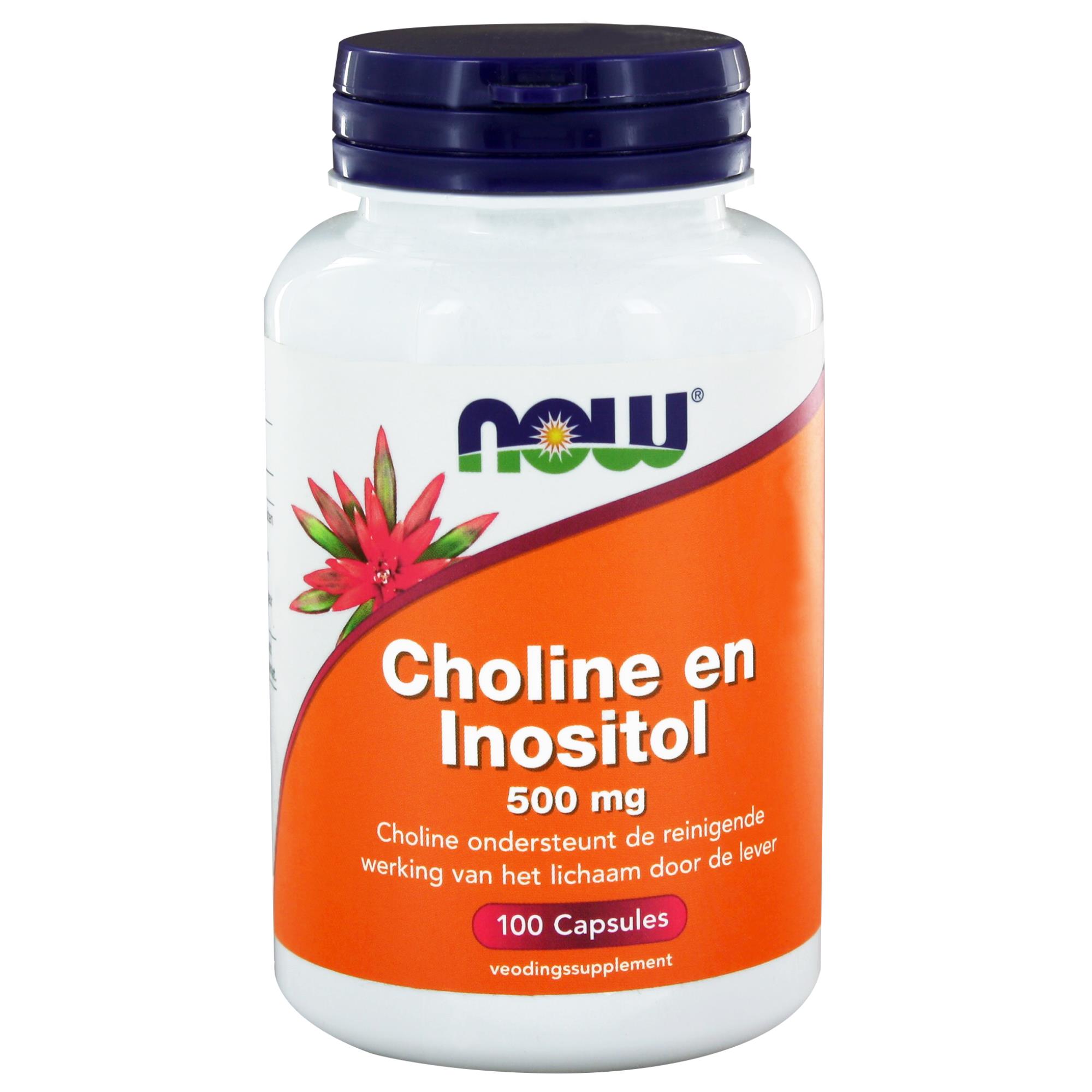 Choline en Inositol 500 mg 100 caps