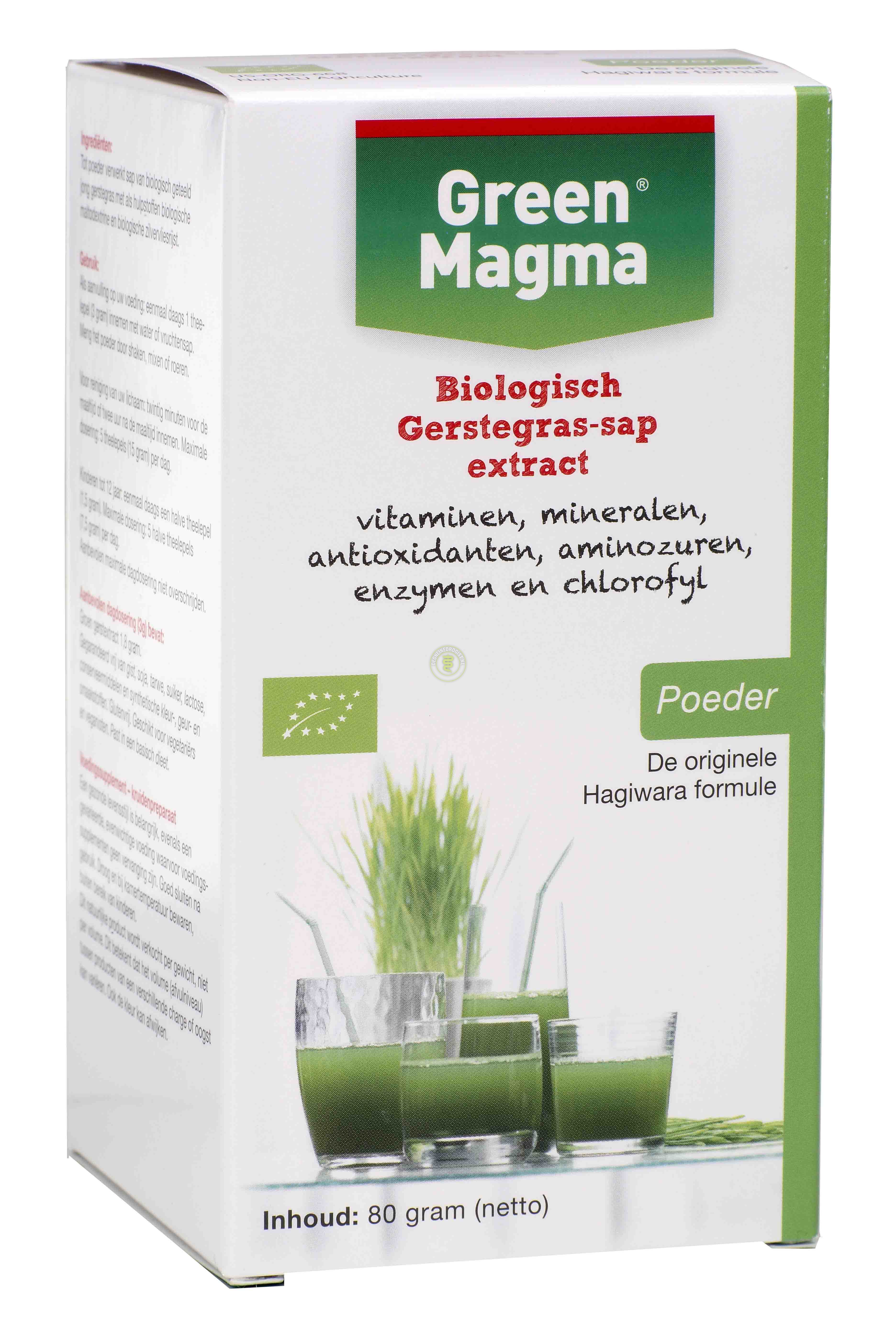 Green Magma Instant poudre - 80 gr